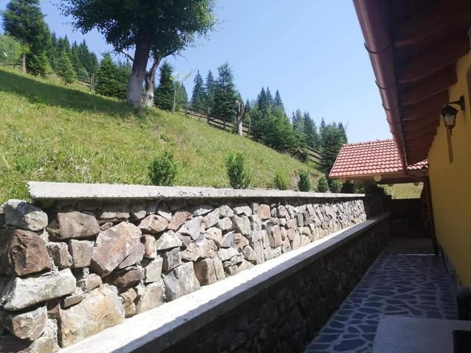 Casa Anghel Villa Bilbor Bagian luar foto