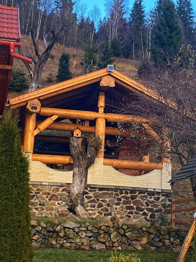 Casa Anghel Villa Bilbor Bagian luar foto
