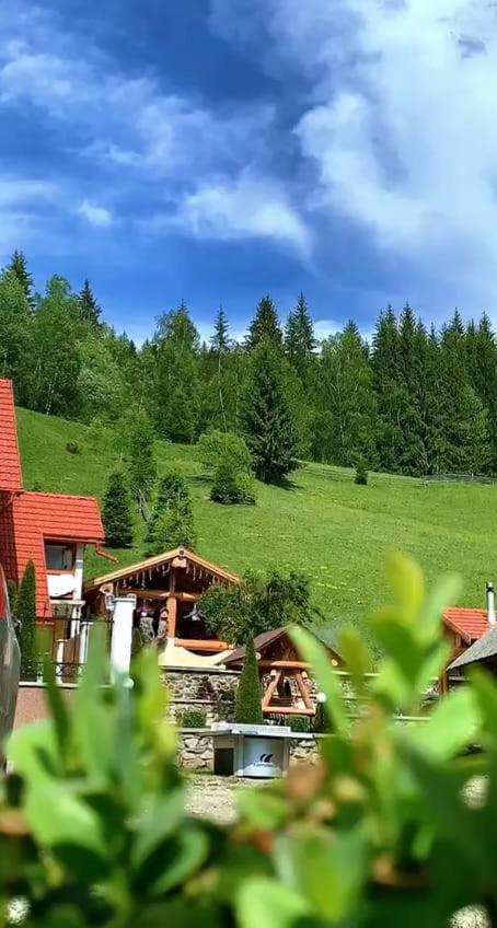 Casa Anghel Villa Bilbor Bagian luar foto